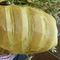 Pane della Domenica