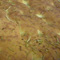 Pizza rosmarino