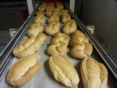 Pane di pasta dura